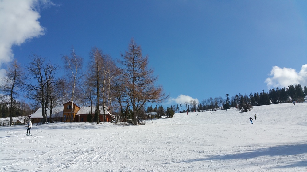 20170225_121337.jpg