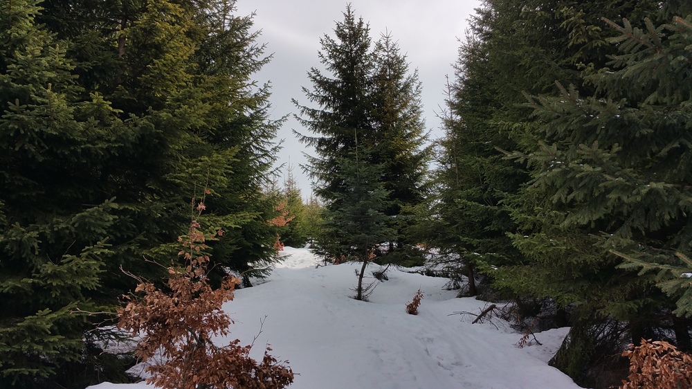 20170226_102435.jpg