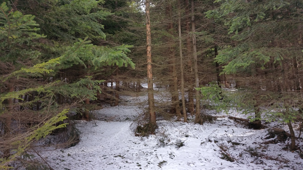 20170226_103247.jpg