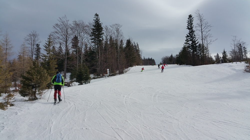 20170226_104513.jpg