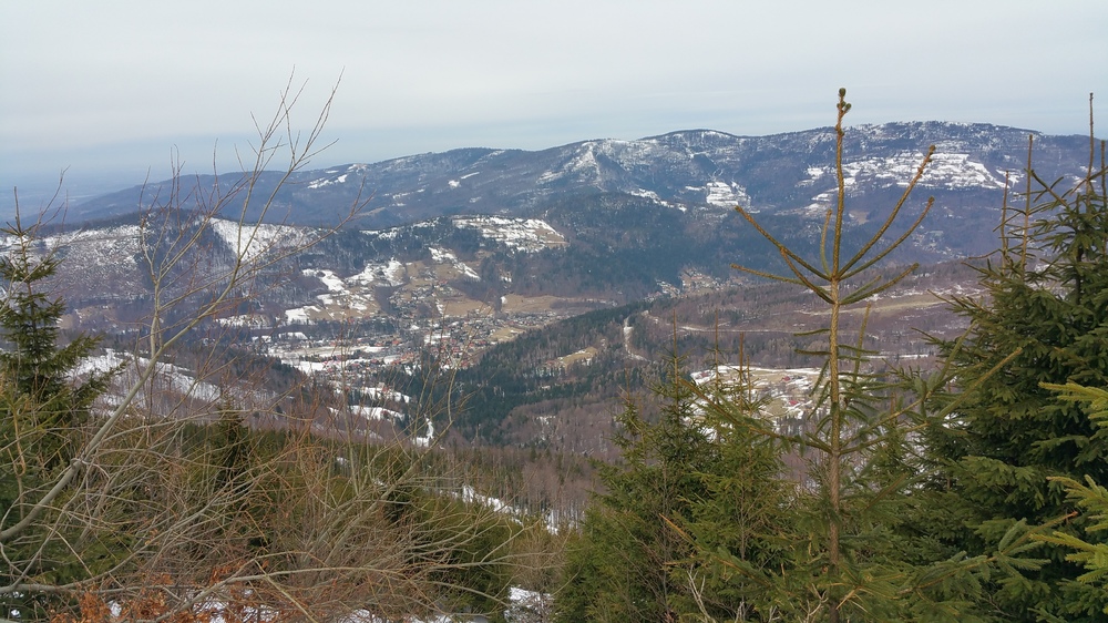 20170226_115044.jpg