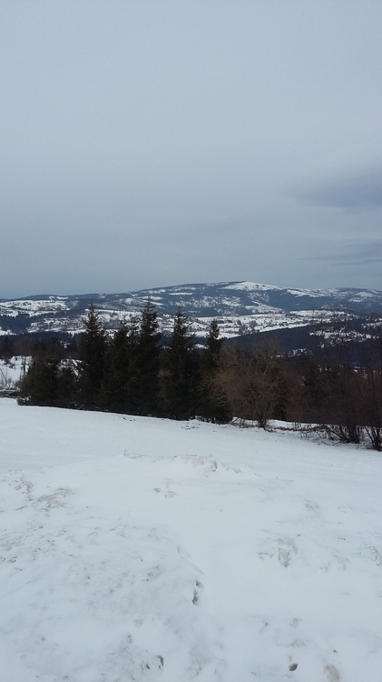 20170226_122609.jpg