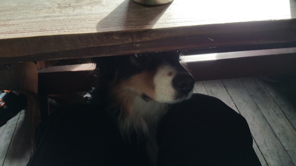 20170226_130150.jpg