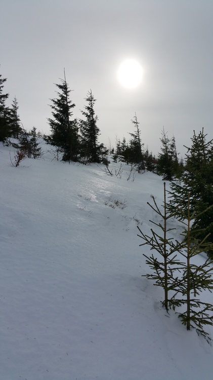 20170226_134107.jpg