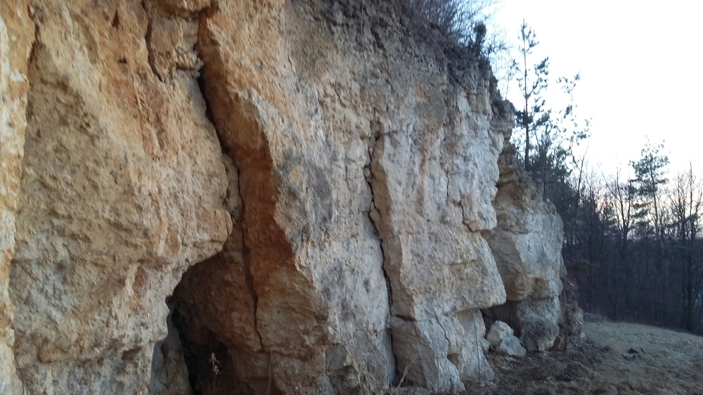 20170227_170514[1].jpg