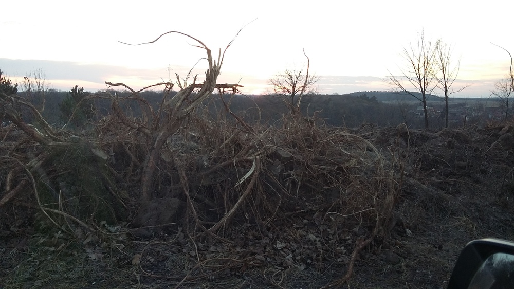 20170227_170755[1].jpg