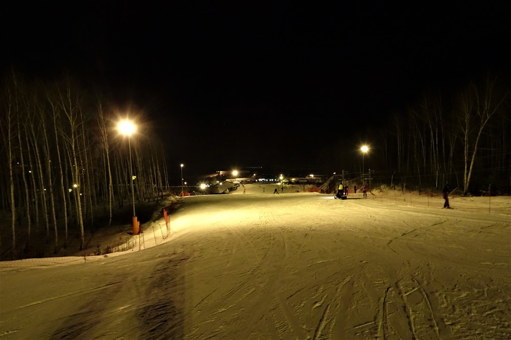 DSC01539.thumb.JPG.bc1e10b42486ff7d39942fd0f41a8c77.JPG