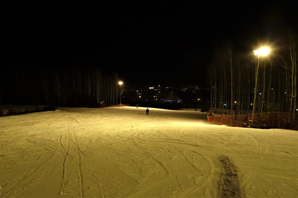 DSC01540.thumb.JPG.e68ba754fb46a9037b341e969c13f37a.JPG