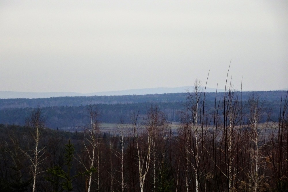 DSC01622.thumb.JPG.540b61e2b20cd6b29bc43abf7e285122.JPG