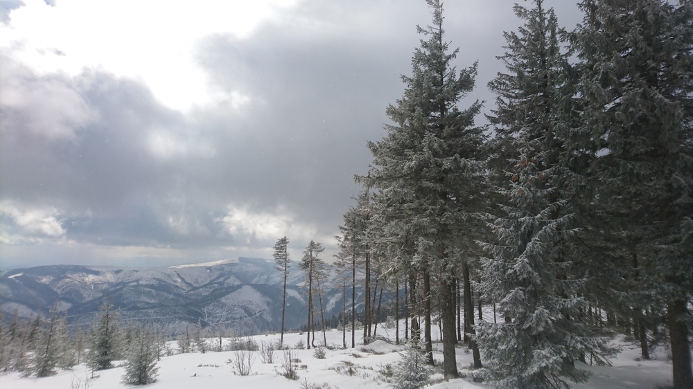 DSC_0474.JPG