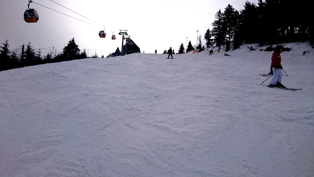 DSC_0571.JPG.de9443ad9cb47da493268338df18cba8.JPG