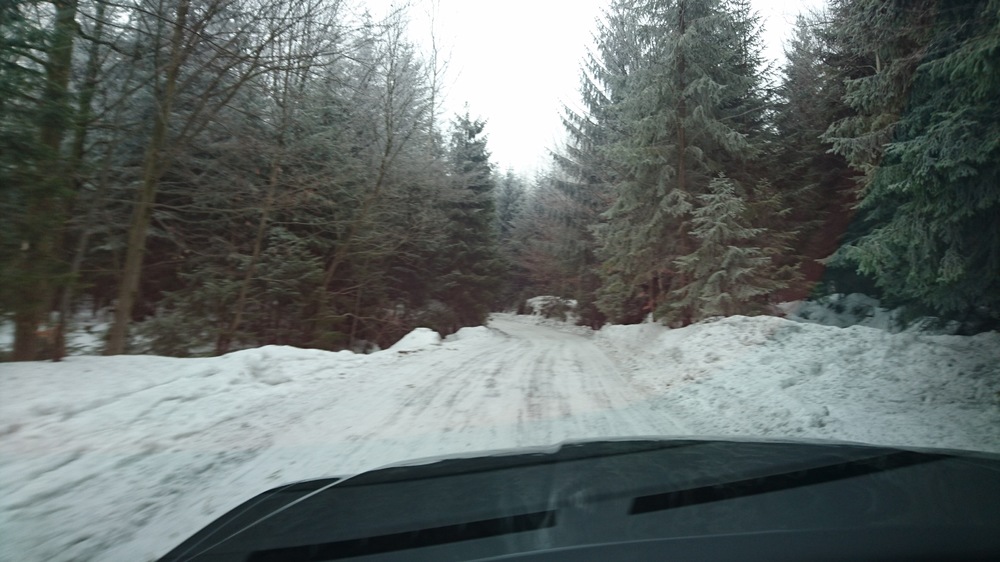 DSC_1773.JPG