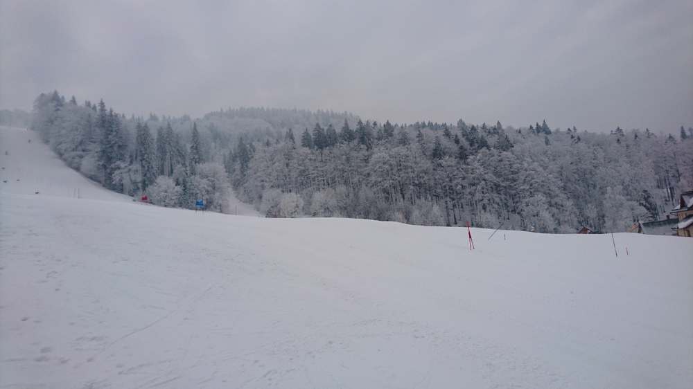 DSC_1775.JPG