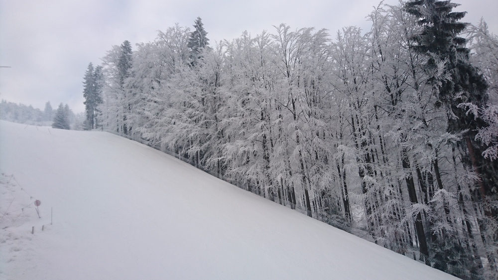 DSC_1777.JPG