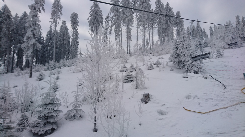 DSC_1780.JPG