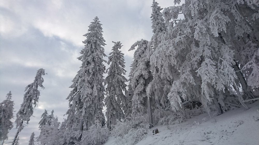 DSC_1781.JPG