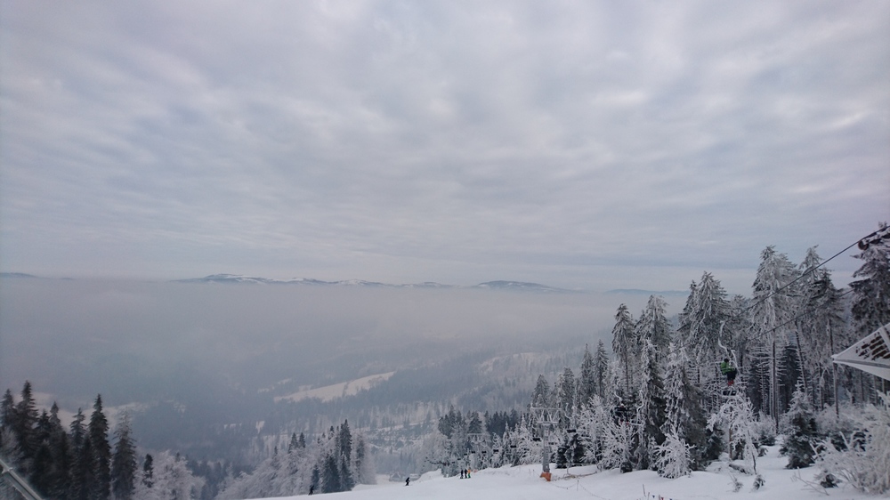 DSC_1782.JPG