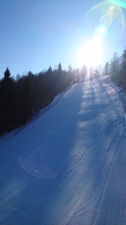 DSC_1796.JPG