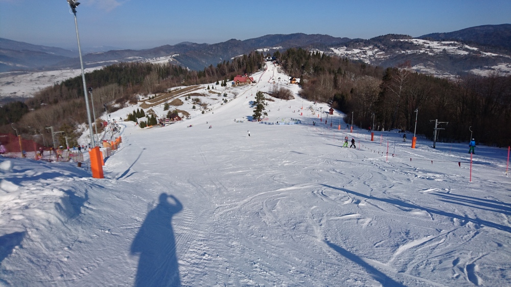 DSC_1799.JPG