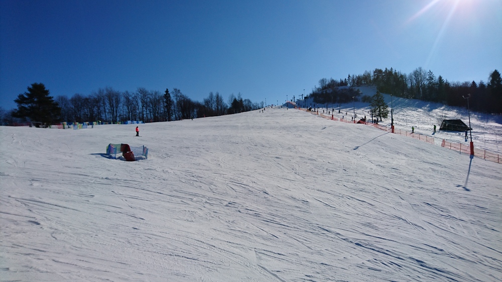 DSC_1805.JPG