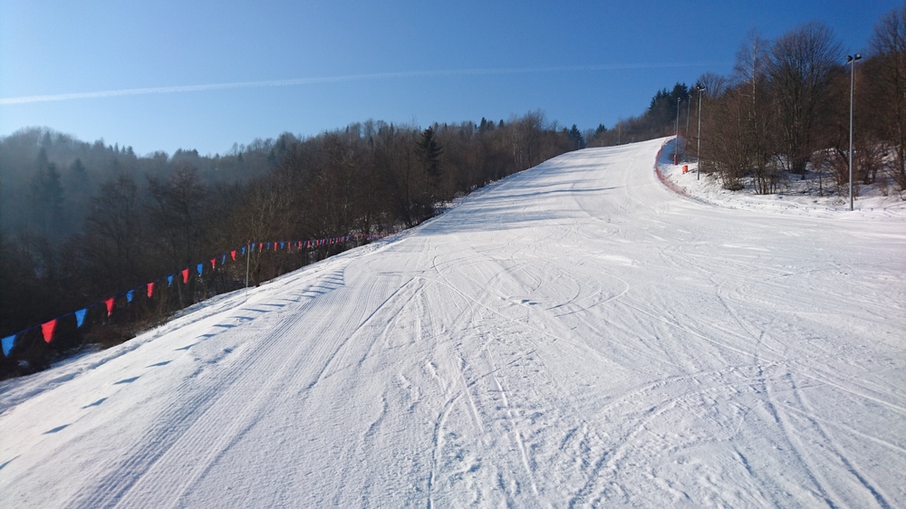 DSC_1816.JPG