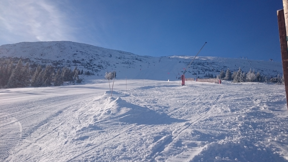 DSC_8075.JPG