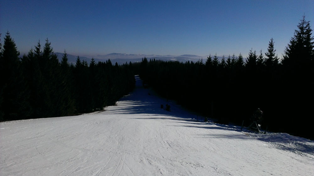 IMAG0065.jpg