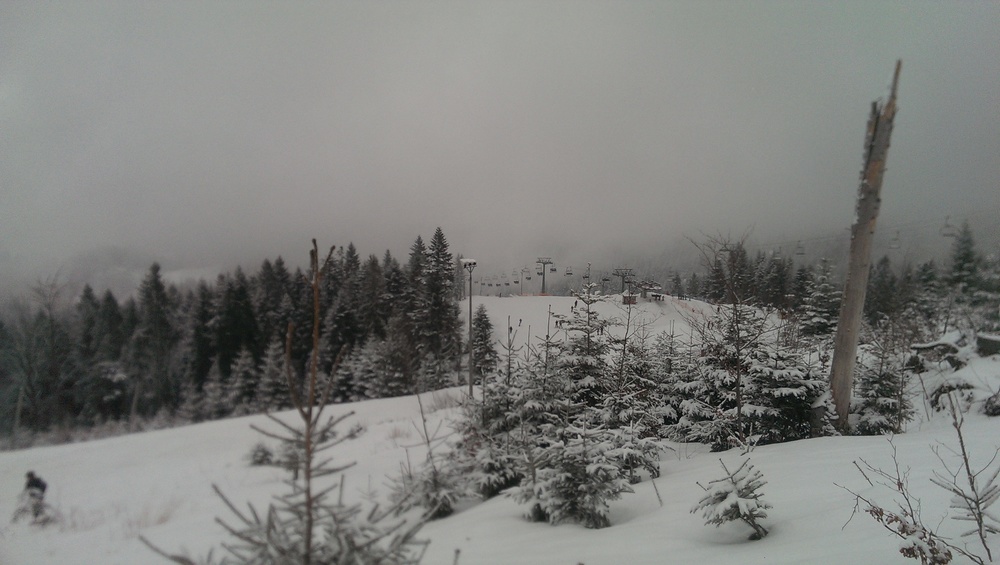 IMAG0149.jpg