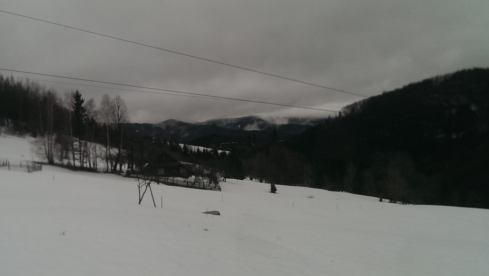 IMAG0183.jpg