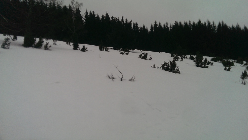 IMAG0184.jpg