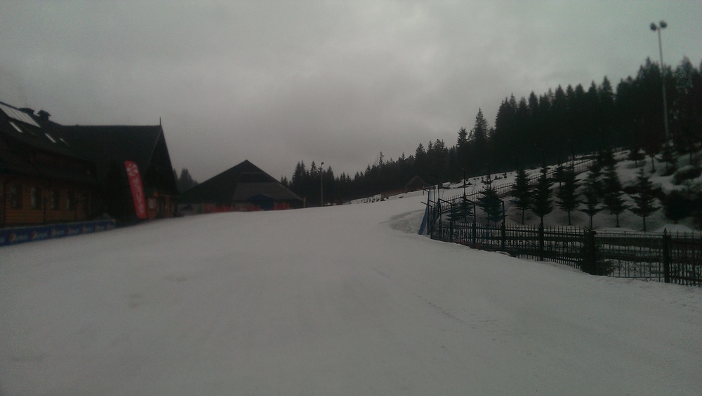 IMAG0203.jpg