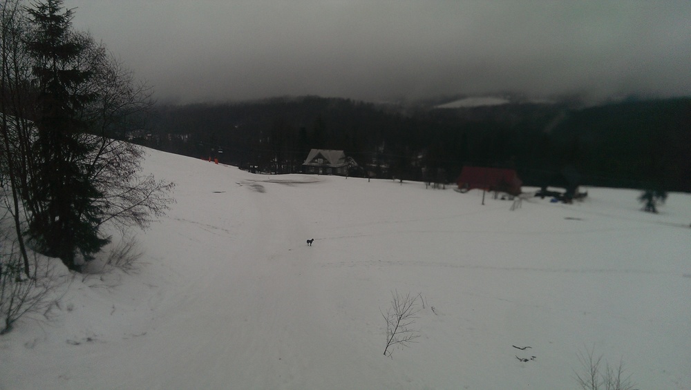 IMAG0223.jpg