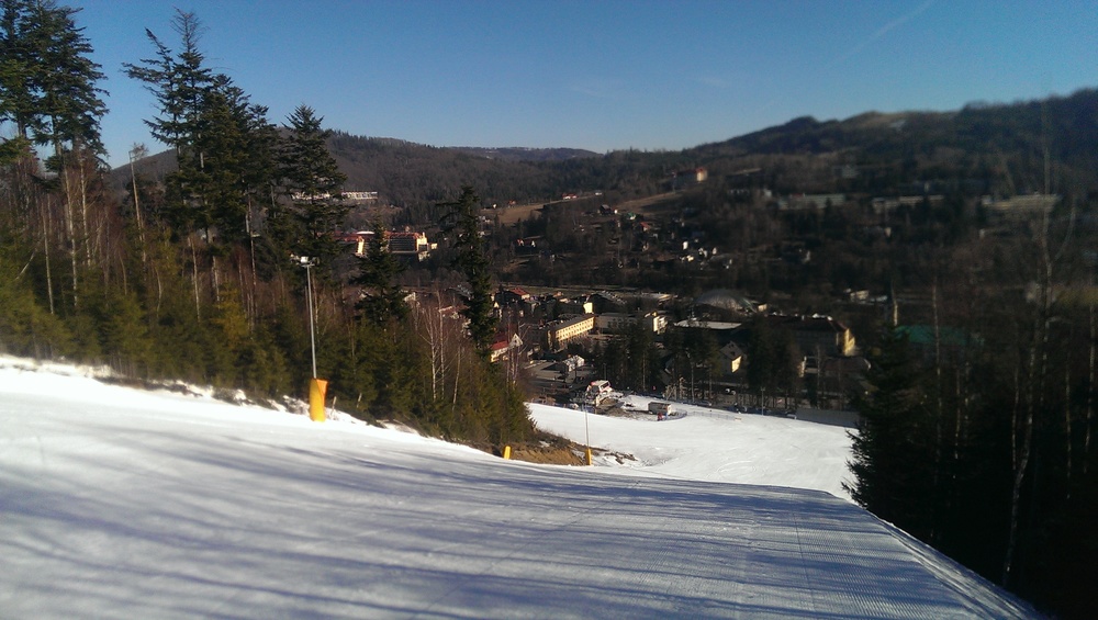 IMAG0230.jpg