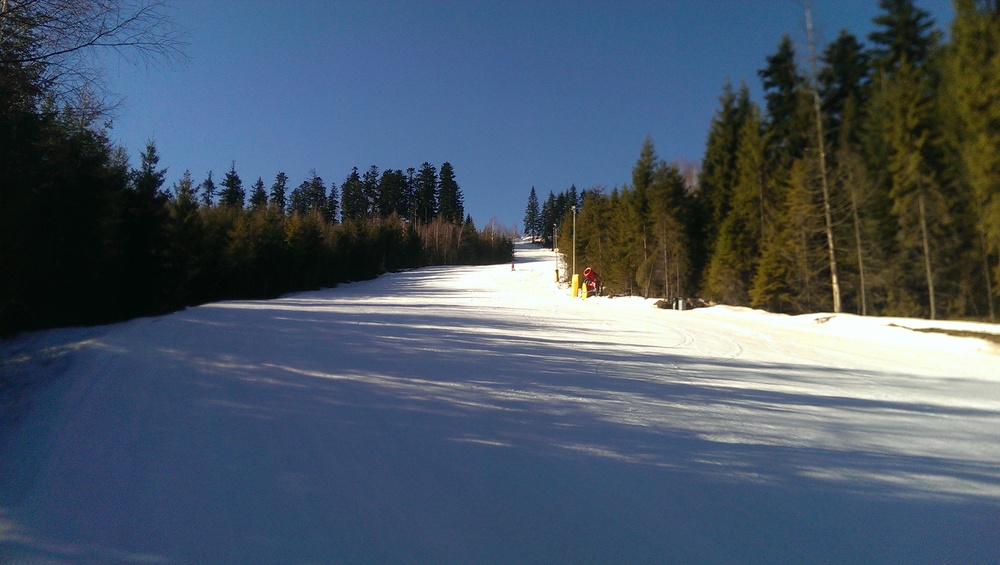 IMAG0231.jpg
