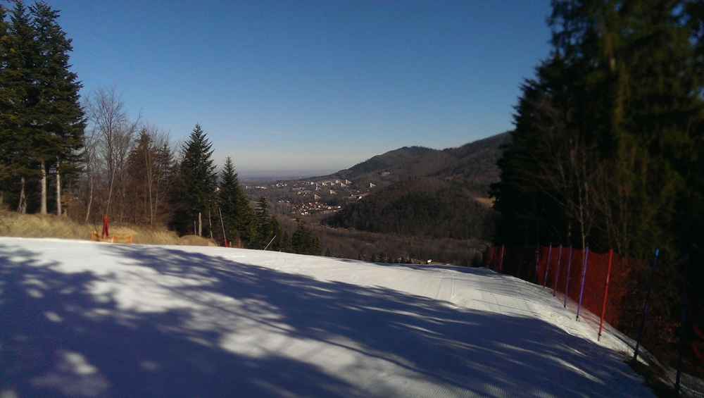 IMAG0241.jpg