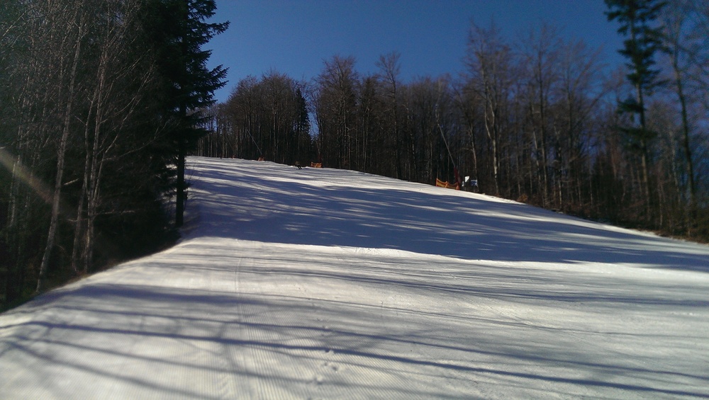 IMAG0242.jpg