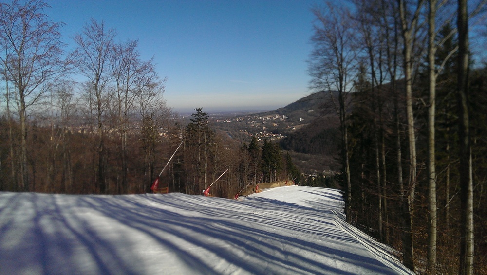 IMAG0243.jpg