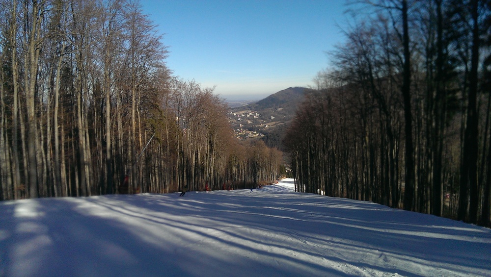 IMAG0244.jpg