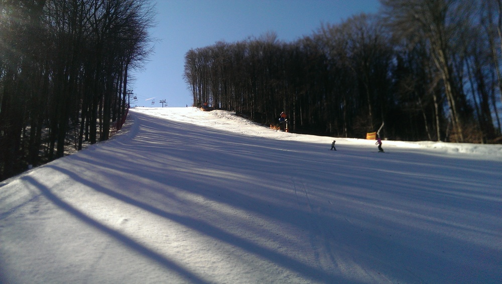 IMAG0246.jpg