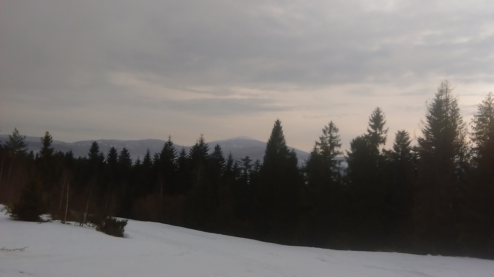 IMAG0393.jpg