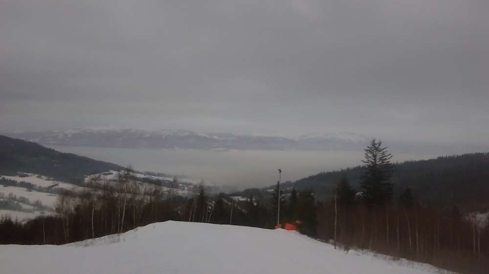 IMAG0398.jpg