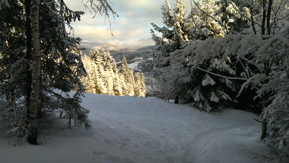 IMAG3687.jpg