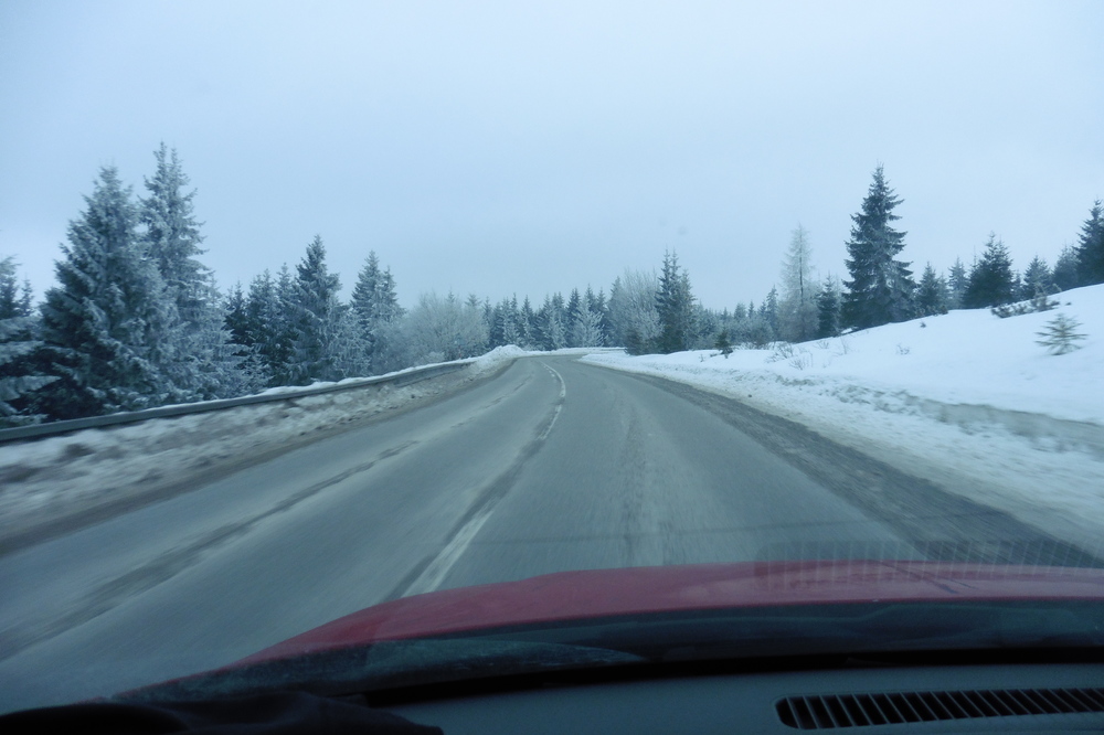 P1020155.JPG