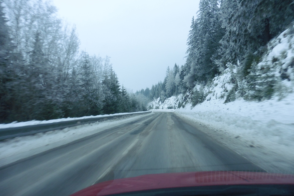 P1020157.JPG