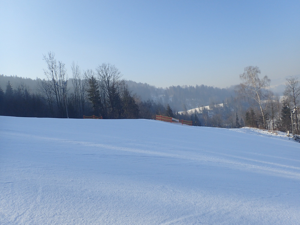 P2124940.JPG