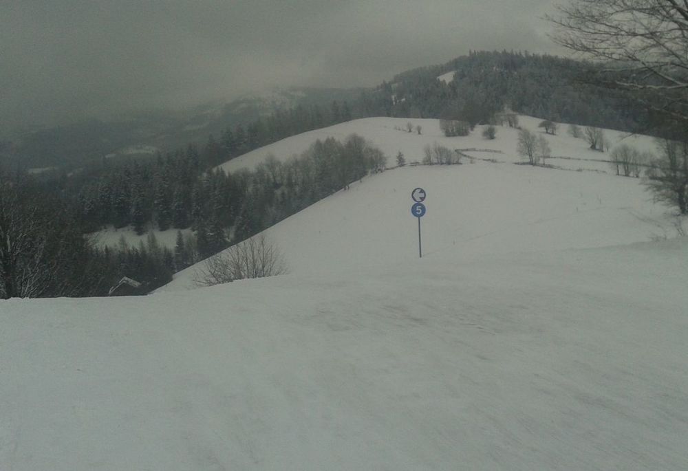 cienkow-piatka1.jpg