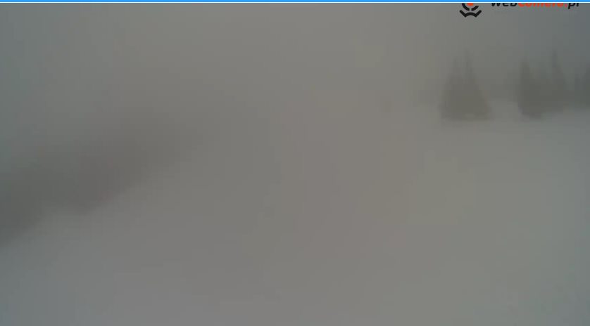 pil.jpg.21bfb608ef94cbbdc211b35fbdeee1ce.jpg