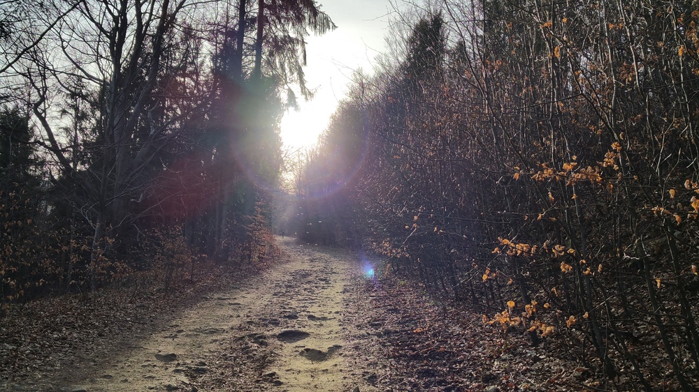 20170303_153321.jpg