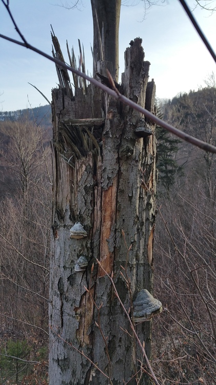 20170303_154239.jpg