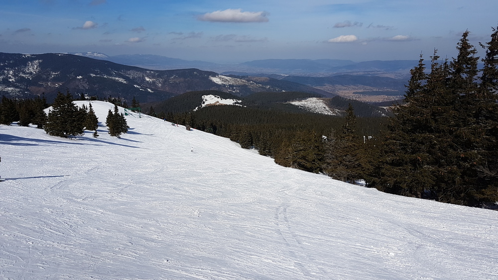20170304_110312.thumb.jpg.dd24fcc4e1bbf95569b512666d5dfdb8.jpg